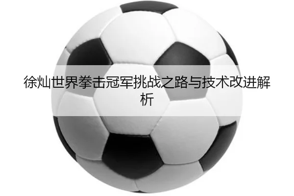 徐灿世界拳击冠军挑战之路与技术改进解析